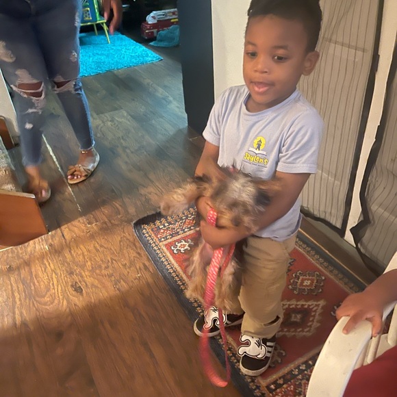 Meet your Posher, Phaedra - Picture 8 of 13